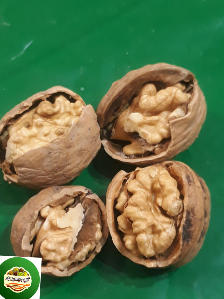 گردوایرانی