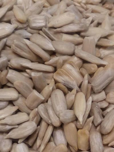 مغزتخمه آفتابگردان خام