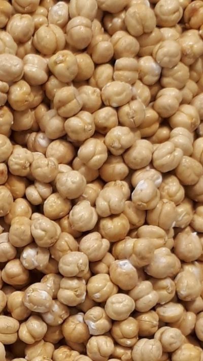 نخود گل شور