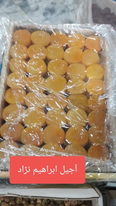 قیسی زردآلواعلا