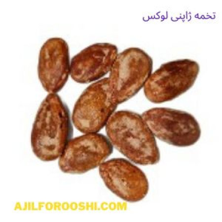 تخمه ژاپنی لوکس