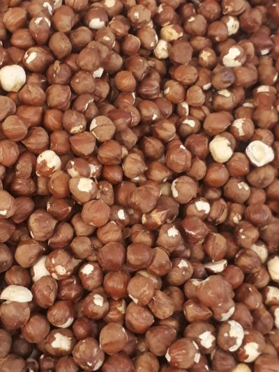 مغزفندق خام ایرانی