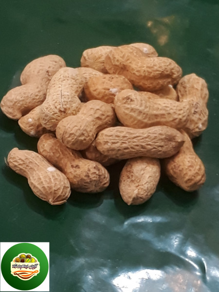 بادام زمینی خارجی