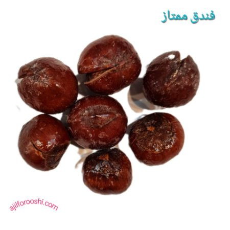 فندق برشته ممتاز