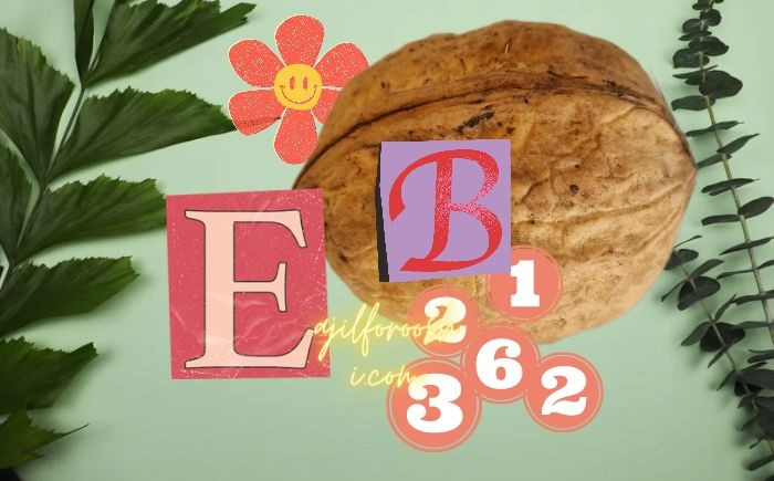 خواص انواع محصولات گردو ابراهیم نژاد