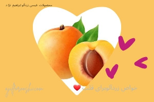 خواص زردآلو برای قلب