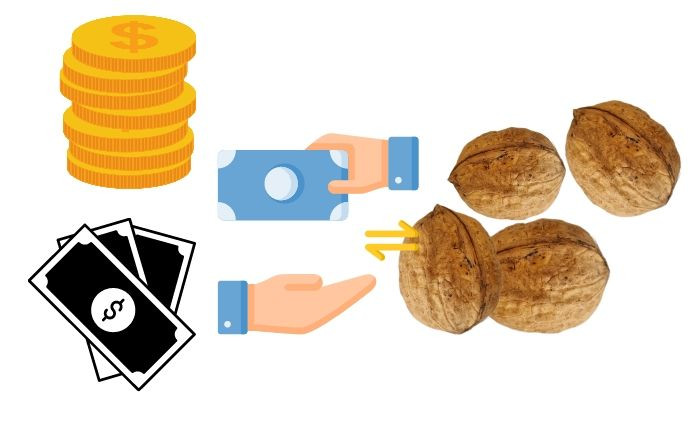 قیمت و خرید انواع گردو ابراهیم نژاد