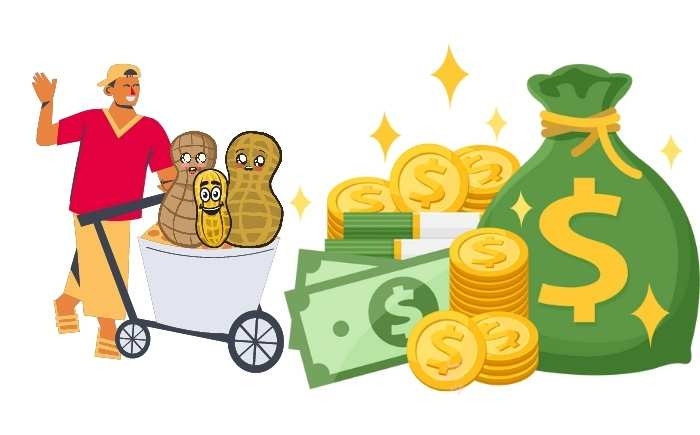 قیمت و خرید محصولات بادام زمینی