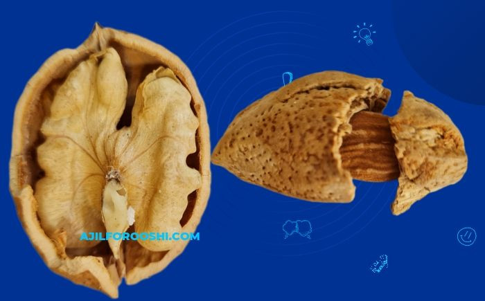 قیمت و خرید محصولات گردو و بادام سنگی ابراهیم نژاد