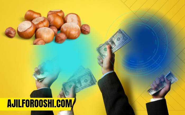 قیمت وخرید انواع فندق