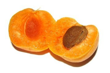 محصولات قیسی زردآلو