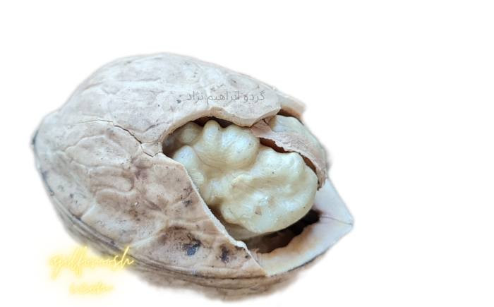 کیفیت انواع گردو ابراهیم نژاد